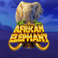 African Elephant game thumbnail